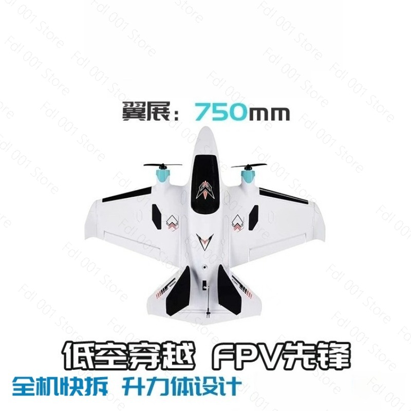 Avión RC de Ala Fija con Doble - Drone Racing Motor reseña y precio